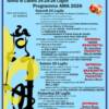 AMA - Arte Musica Artigianato