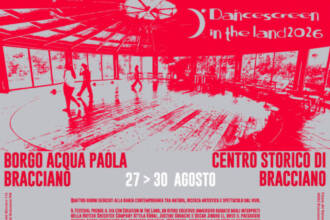 DANCESCREEN IN THE LAND