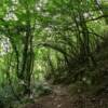 Valle dei Santi a Collepardo: natura, acque e leggende nei Monti Ernici Valle dei Santi