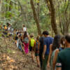 Le Passeggiate Poetiche nel Parco Nazionale del Circeo