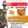 Sagra del Frittello al Fiore di Zucca Sagra del Frittello al Fiore di Zucca