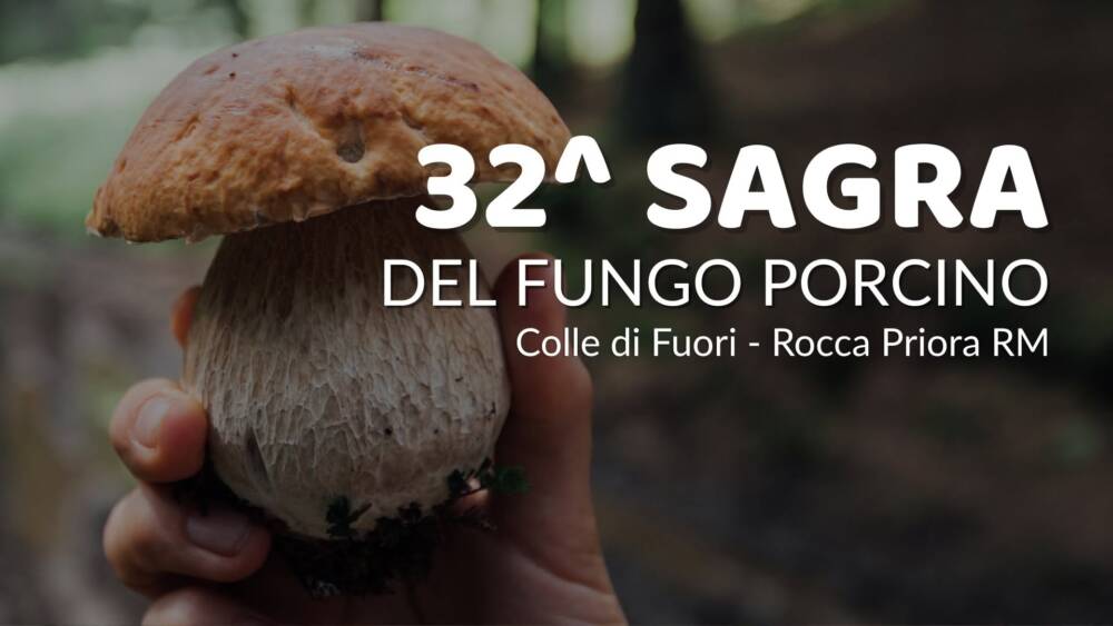 Sagra del Fungo Porcino