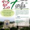 Fiori in Farfa