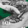 Dentro la guerra di Gaza Dentro la guerra di Gaza