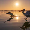 Immagini sul Lago - Photofest Fotografia diffusa sul lago di Bracciano