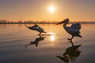 Immagini sul Lago - Photofest Fotografia diffusa sul lago di Bracciano