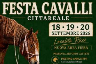 Festa Cavalli Festa Cavalli