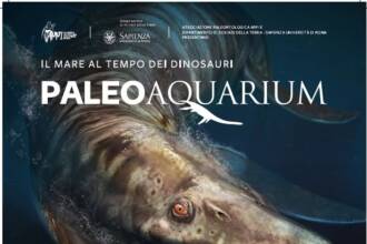Paleoaquarium Paleoaquarium