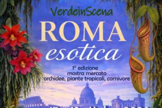 Roma Esotica