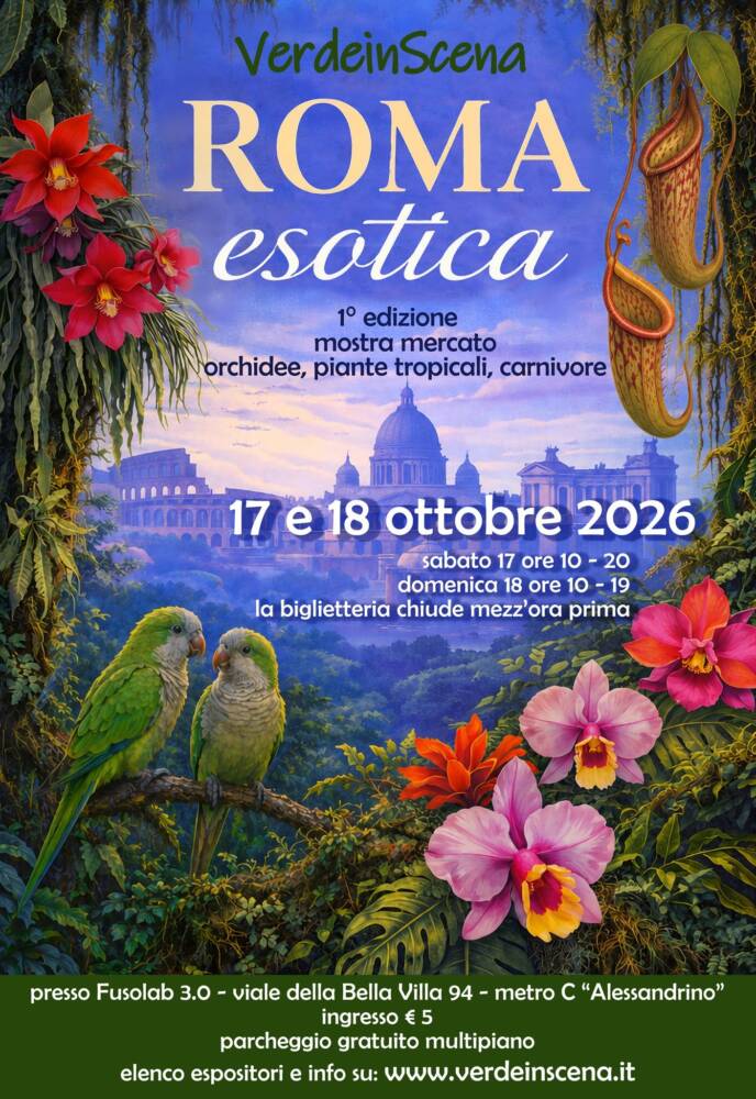 Roma Esotica