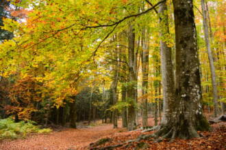 Autunno nel Lazio tra salute, natura e buone pratiche