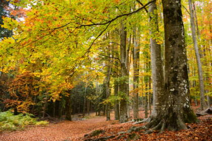 Autunno nel Lazio tra salute, natura e buone pratiche