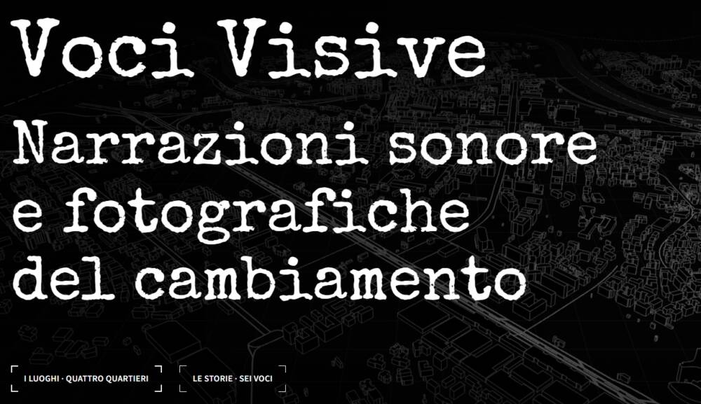 Voci Visive