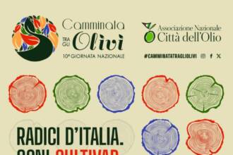 La Camminata tra gli Olivi