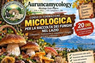 Corso di Formazione Micologica