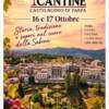Festa delle Cantine Festa delle Cantine