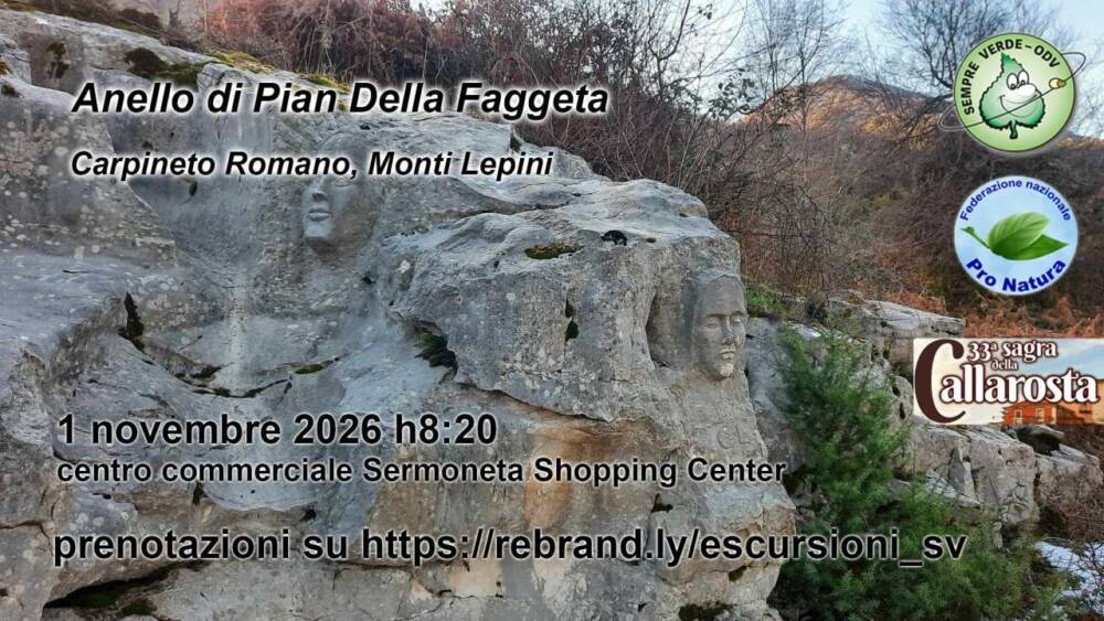 Anello di Pian della Faggeta