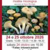 I funghi e il bosco Mostra Micologica I funghi e il bosco Mostra Micologica
