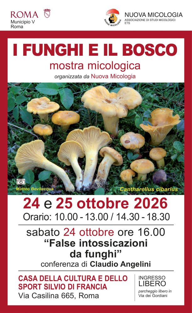 I funghi e il bosco Mostra Micologica
