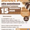 Street Food alla sonninese