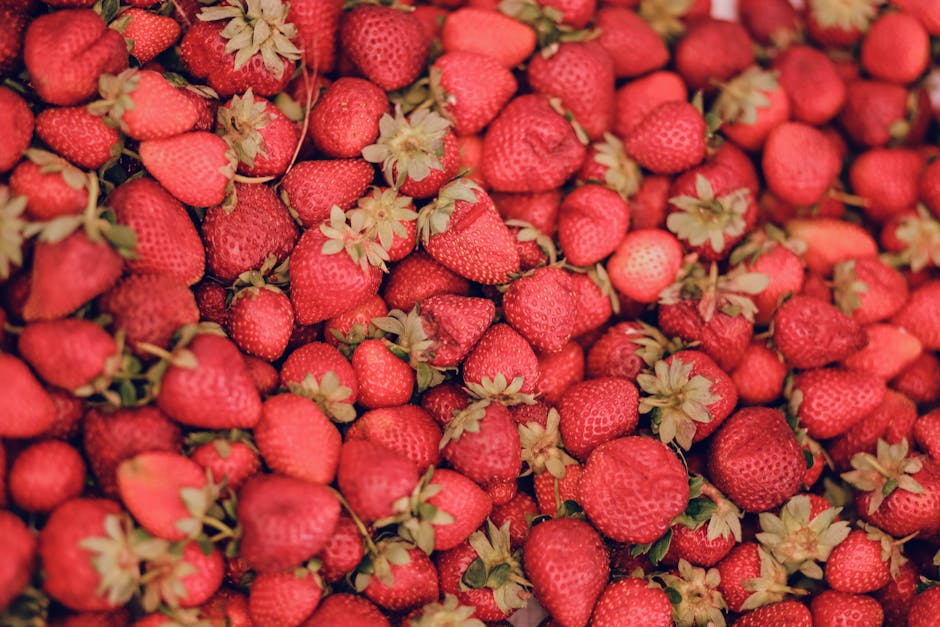 Collage di alimenti e attività per un microbiota sano